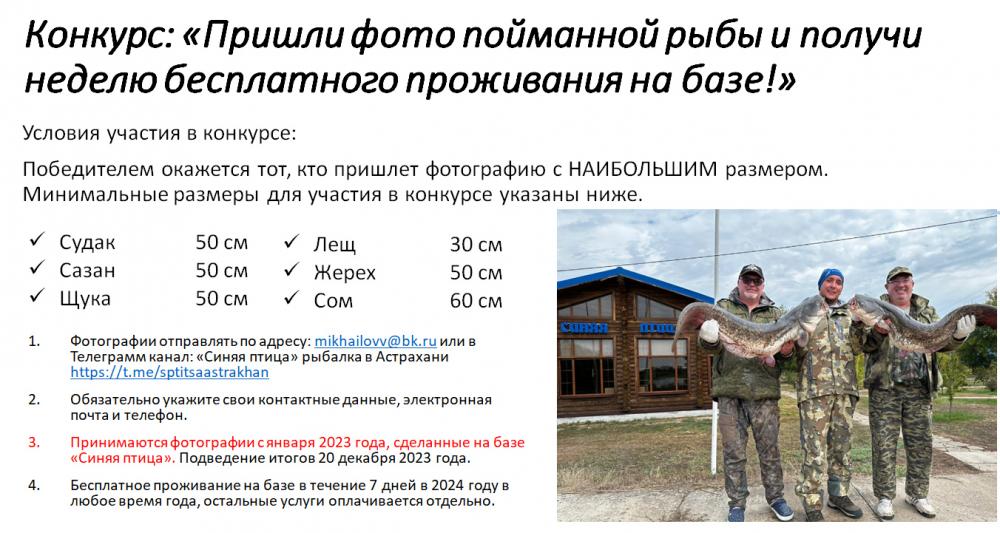 Конкурс